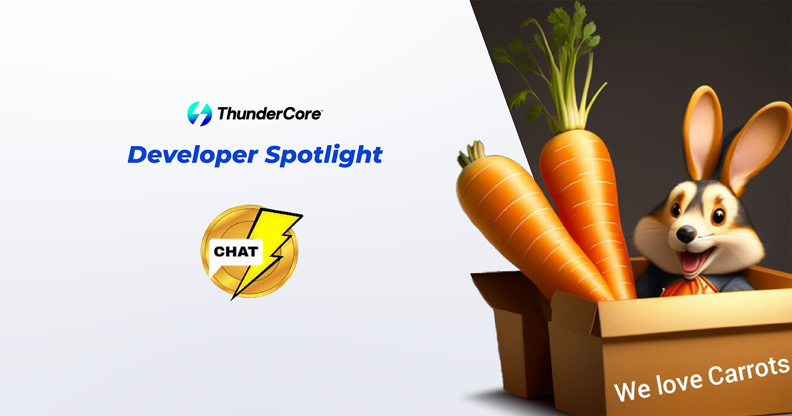 Developer spotlight chat thunder