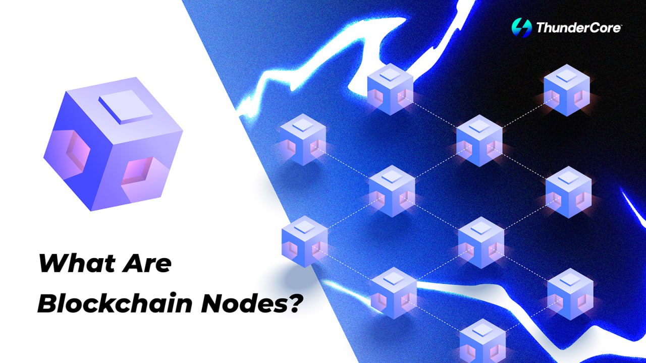 what are blockchain nodes